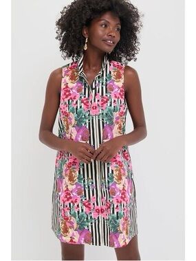 Tuckernuck Floral Stripe Sleeveless Mini Dress in Pink, Green, Black